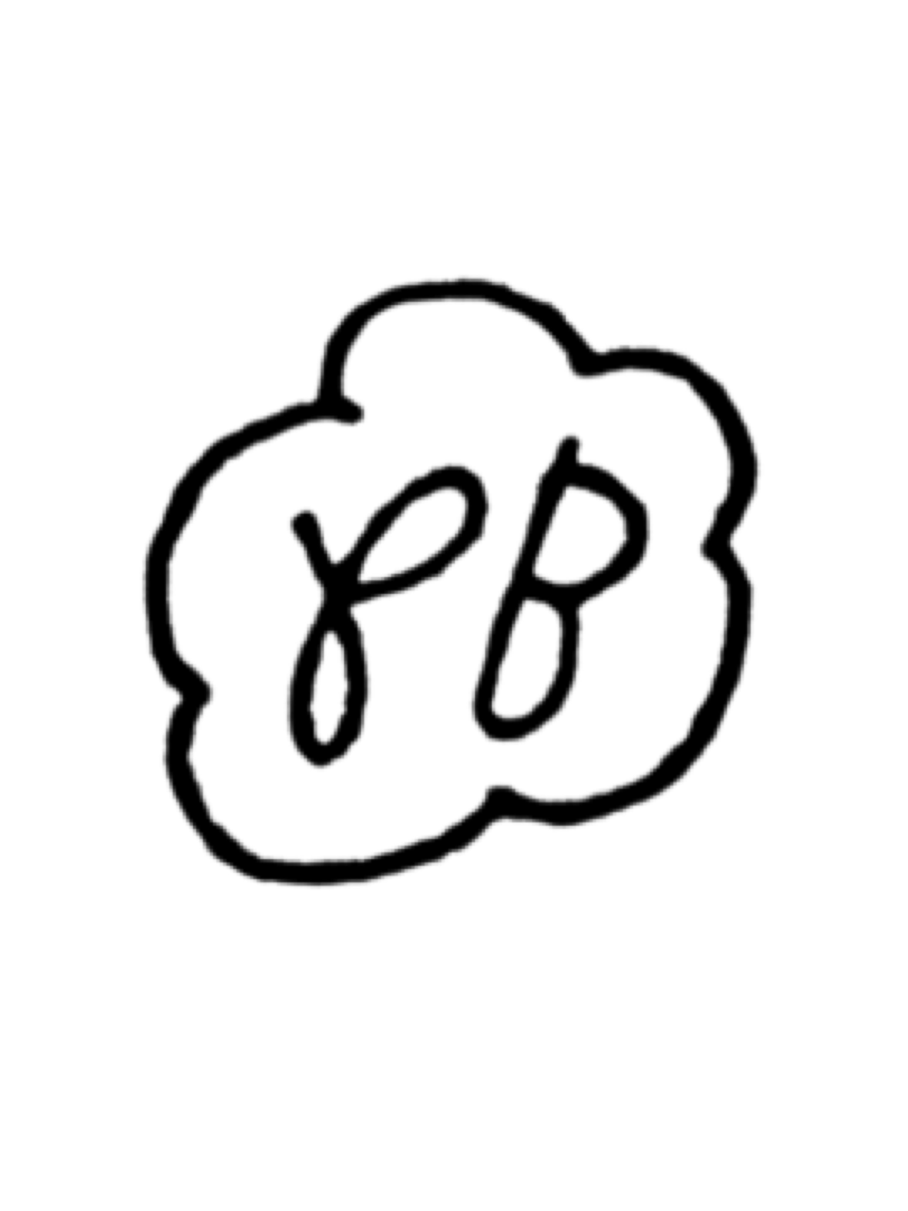Paula Elaine Barnett logo